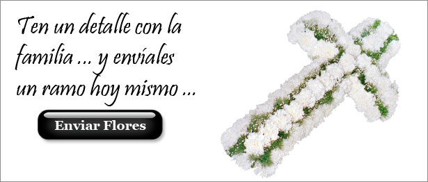 Envía una Cruz de Claveles a la familia del difunto